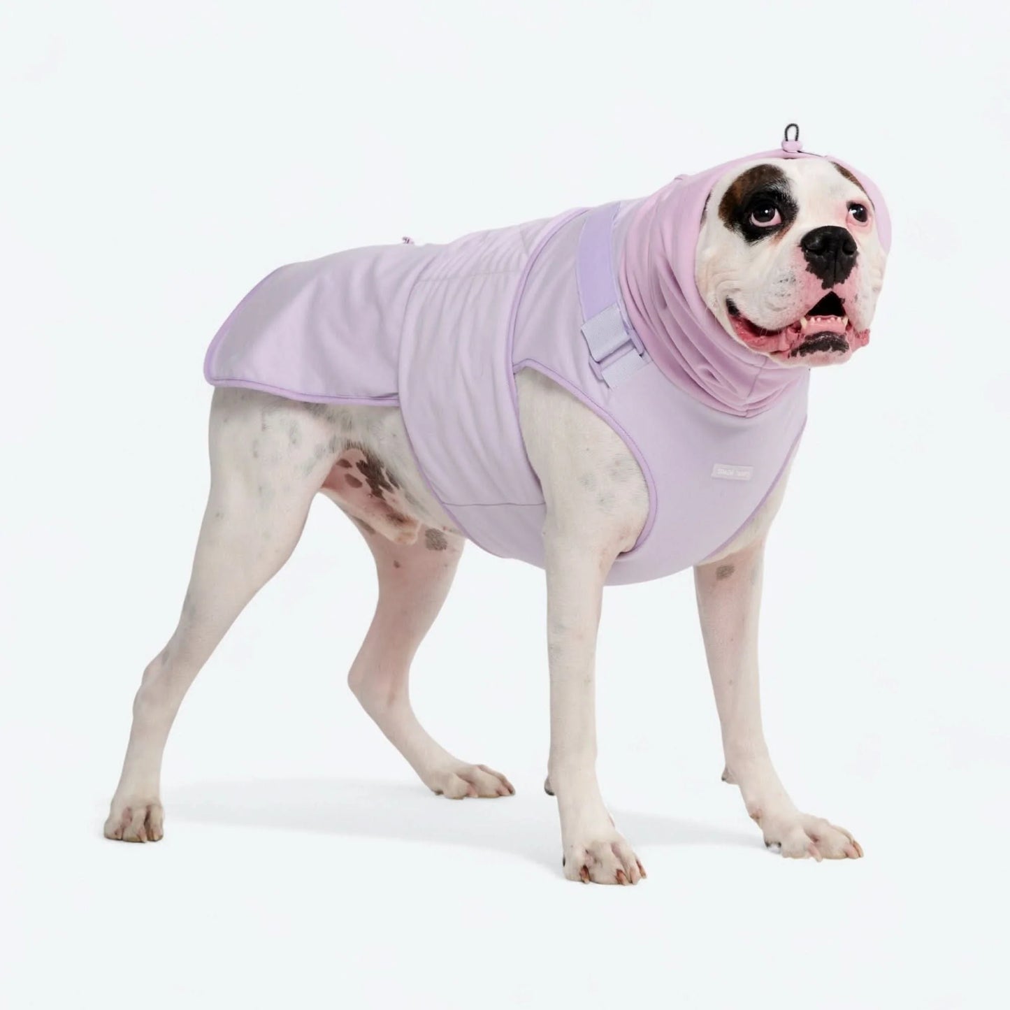 Anxiety Calming Suit