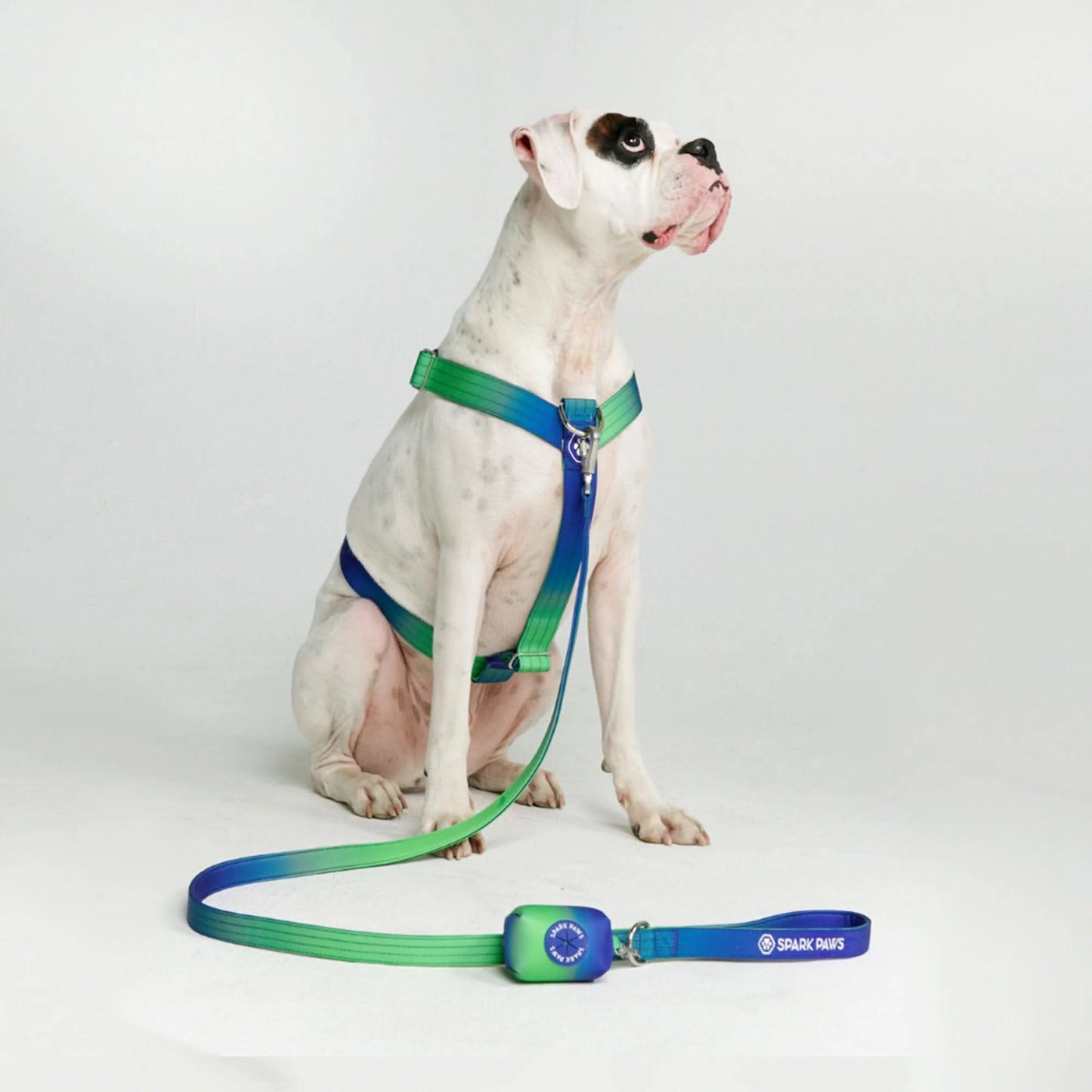 Poop Bag Holder- Lime Wave