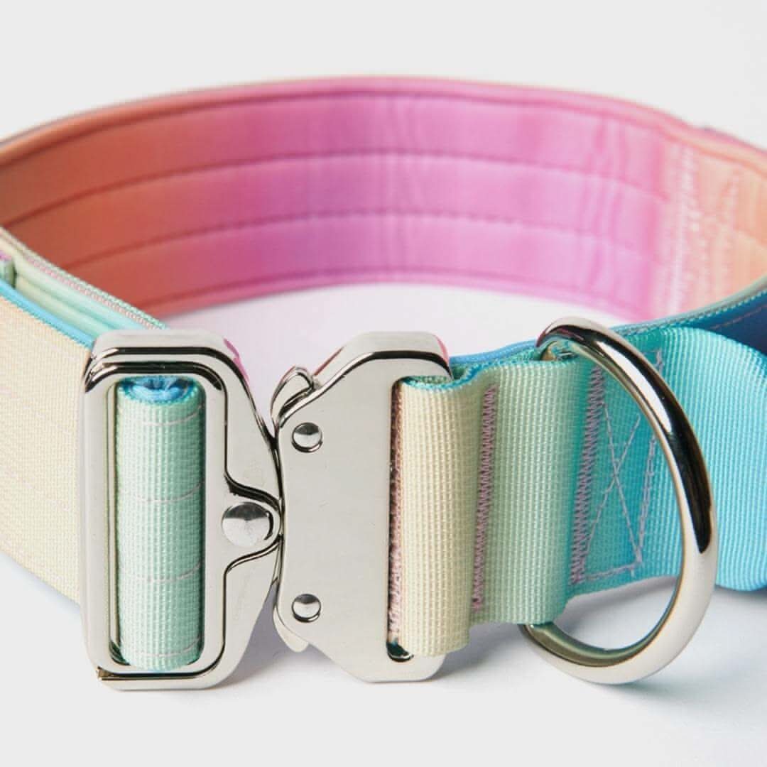 Comfort Control Dog Collars
