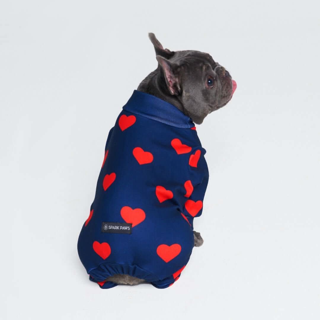 Dog Pajama Prints