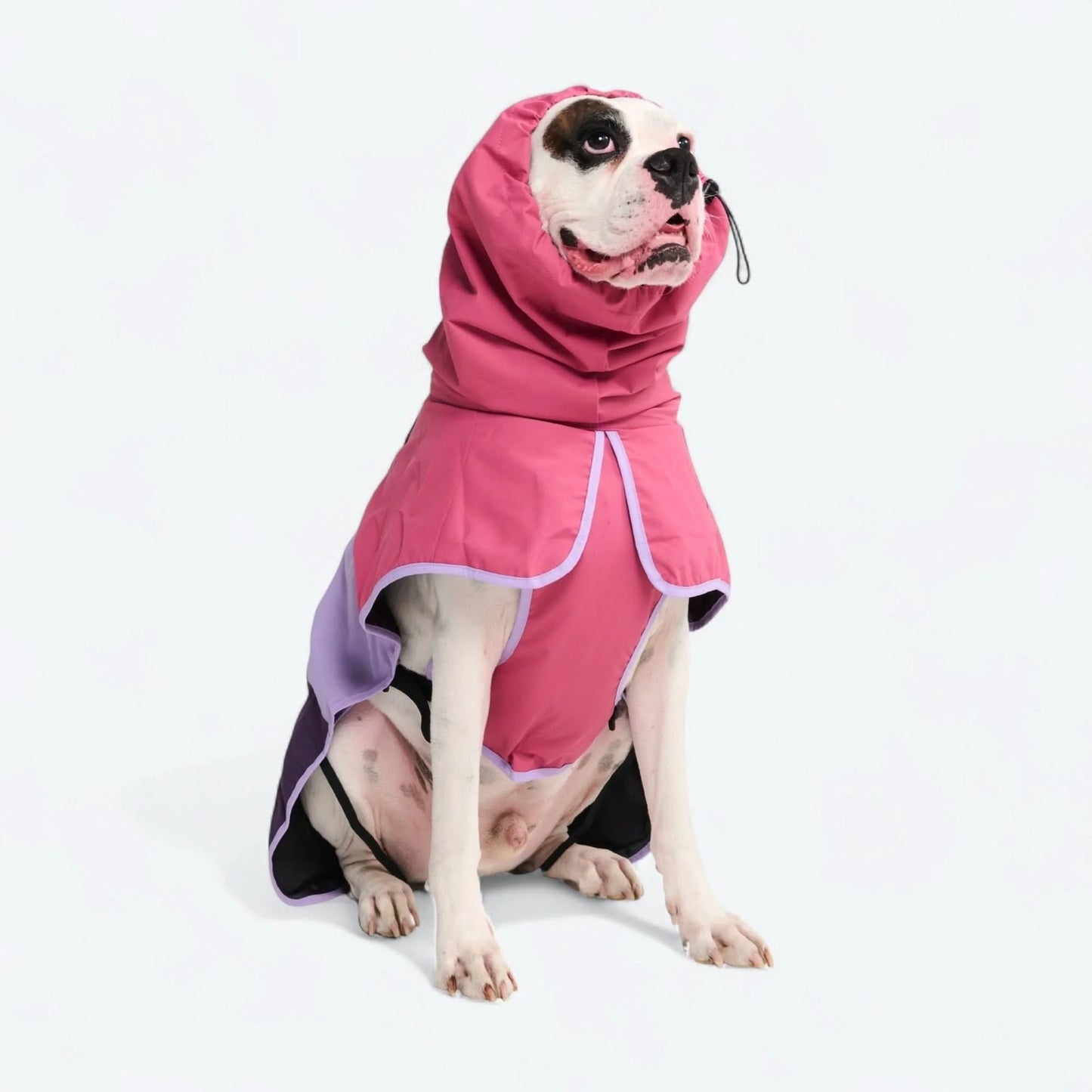 Breatheshield™ Dog Raincoat - Pink Lilac Purple