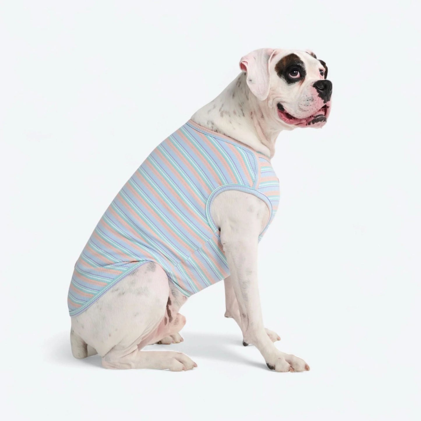 Stripe Shirt - Blue Coral