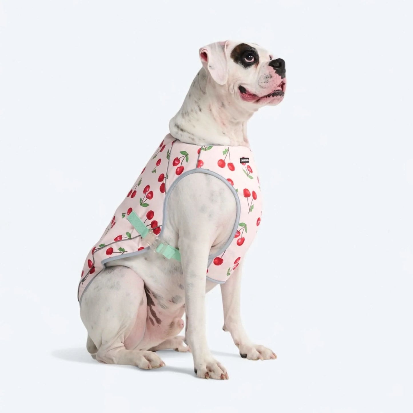 Chilltech™ Dog Cooling Vests