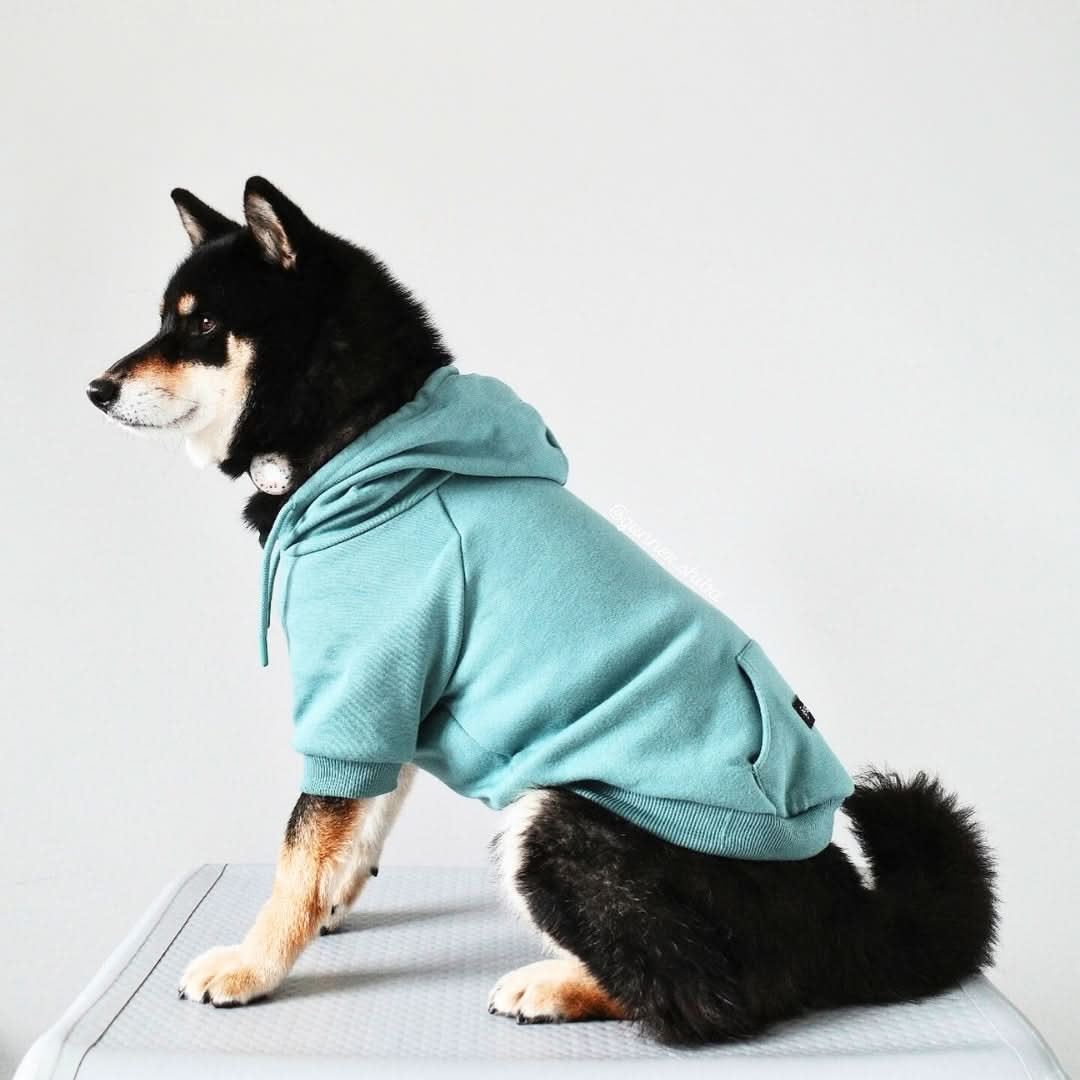 Essential Dog Hoodie - Teal