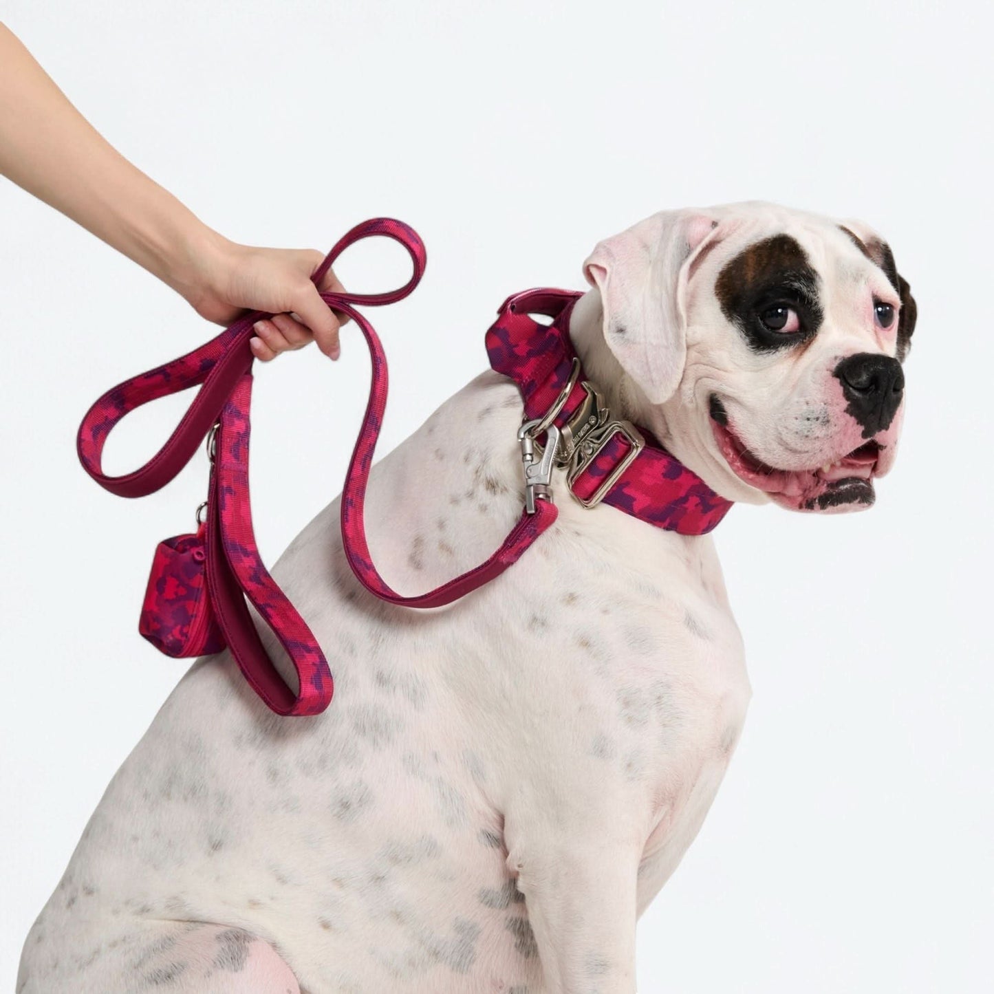 Comfort Control Dog Collars