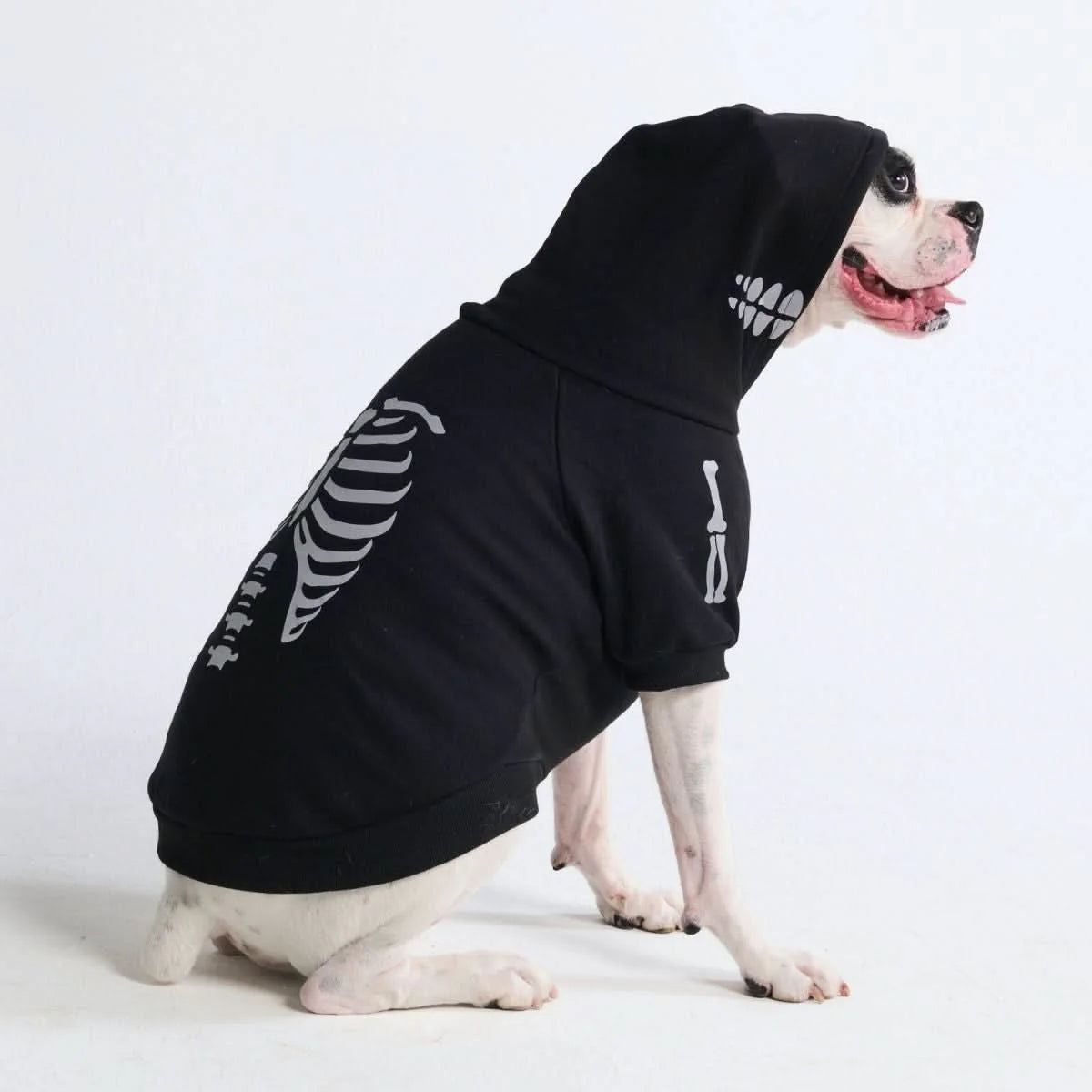 Halloween Dog Hoodies (Limited Edition)