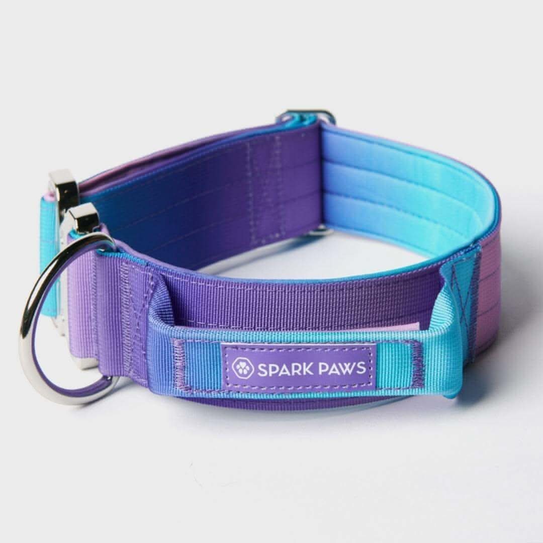 Comfort Control Dog Collars