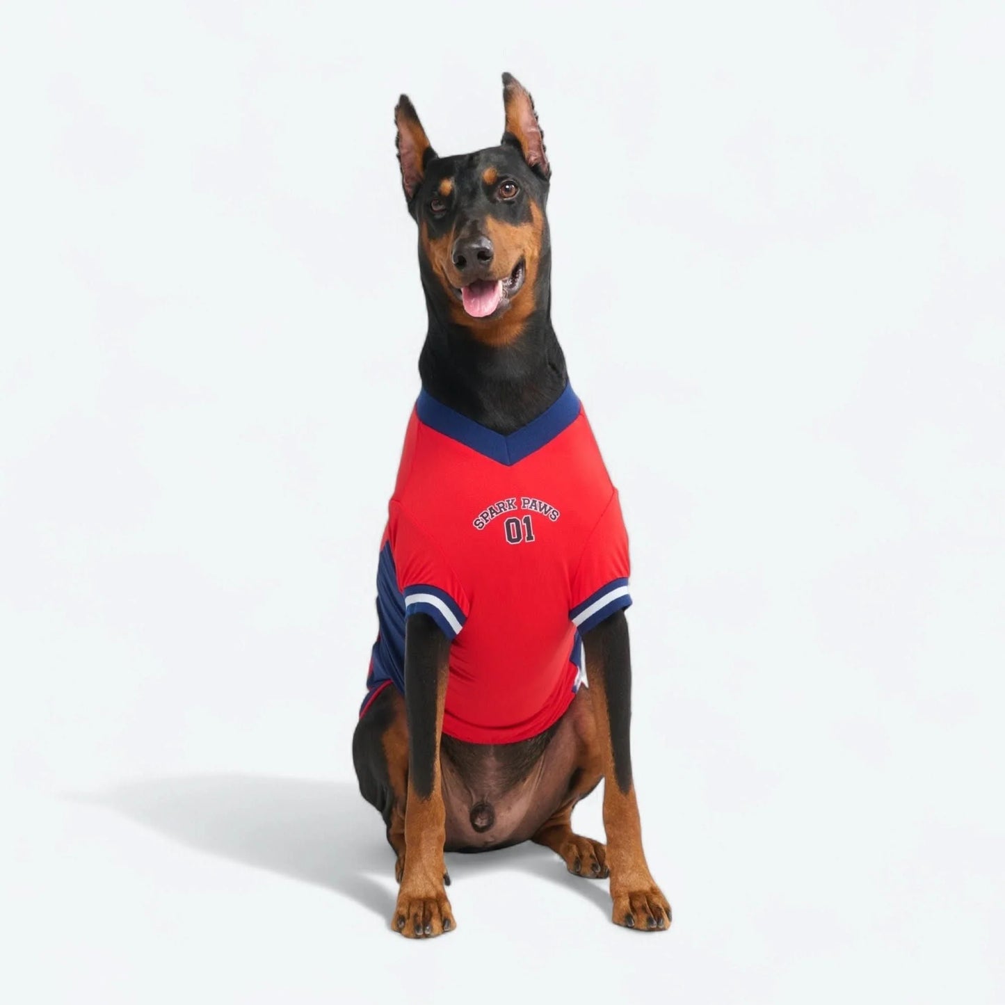Football Mesh Jersey