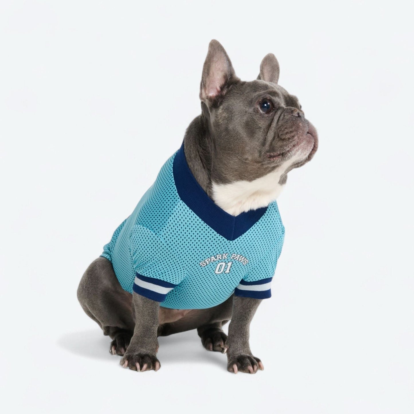 Football Mesh Jersey
