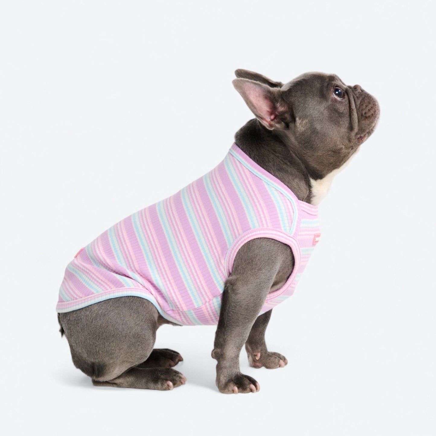 Stripe Shirt
