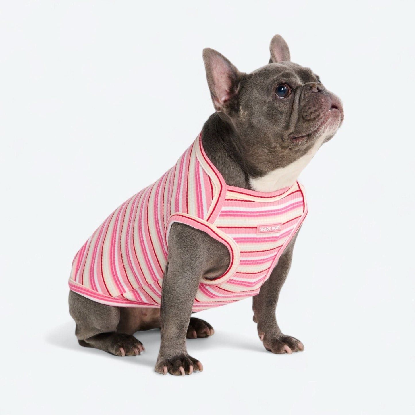 Stripe Shirt