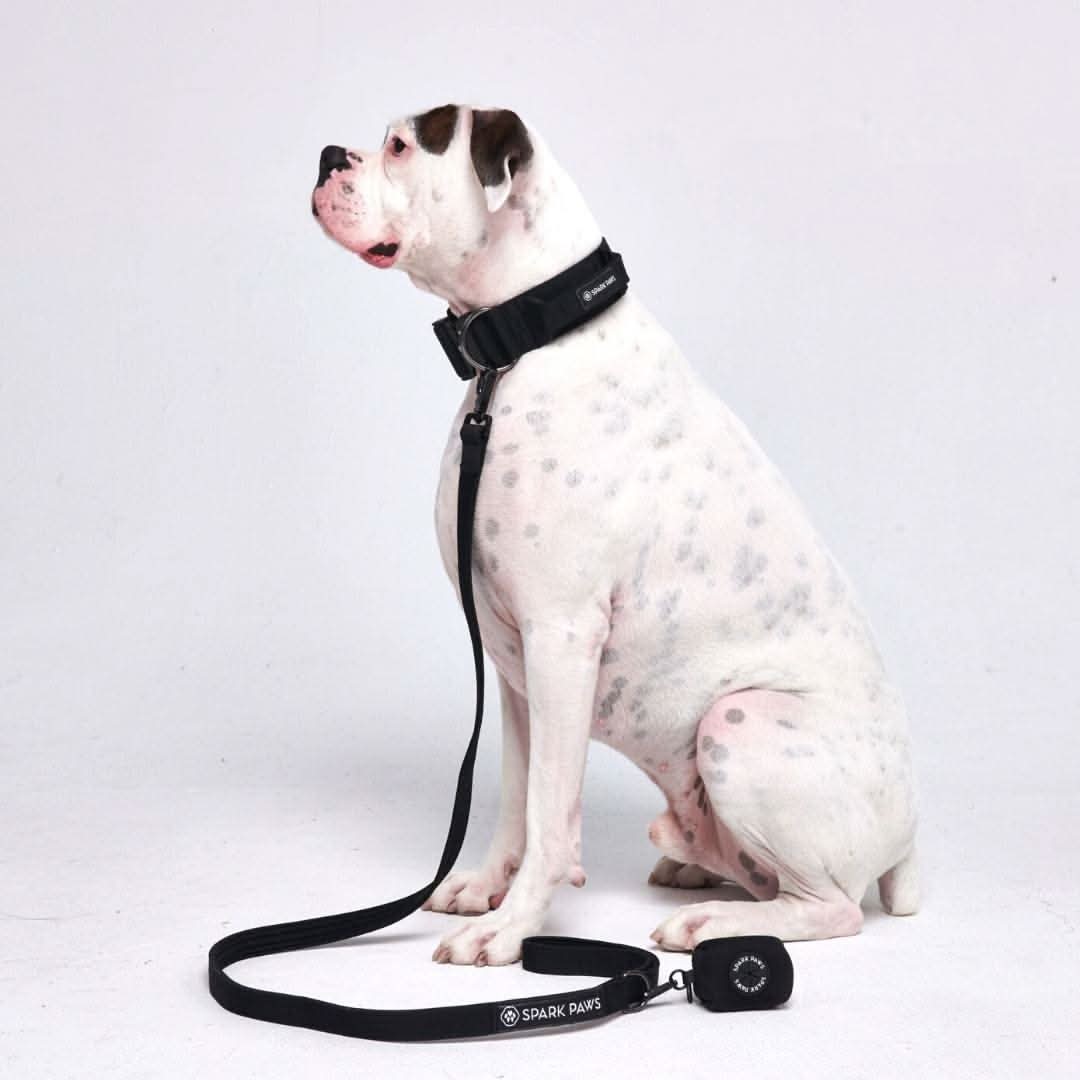 Leash and Poop Bag Holder Set