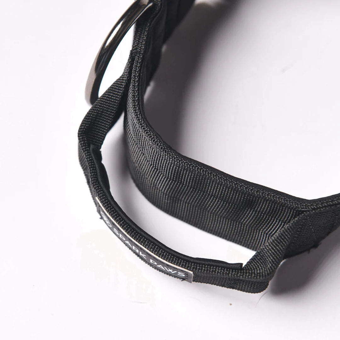 Comfort Control Dog Collars