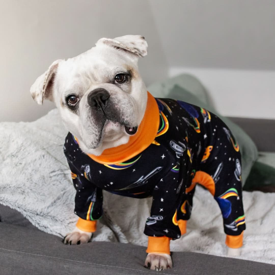 Dog Pajama Prints