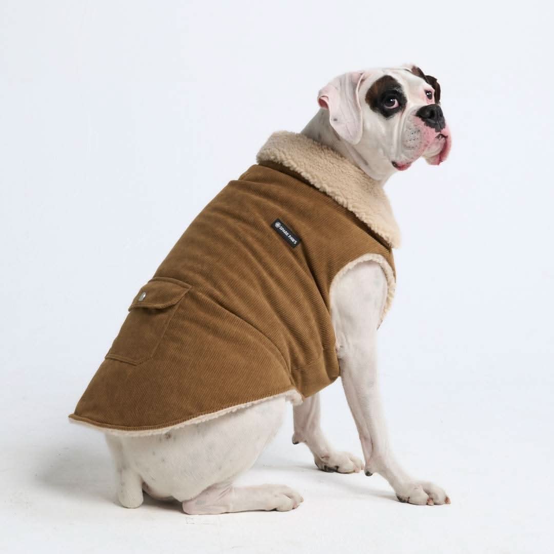 Corduroy Insulated Jacket - Brown