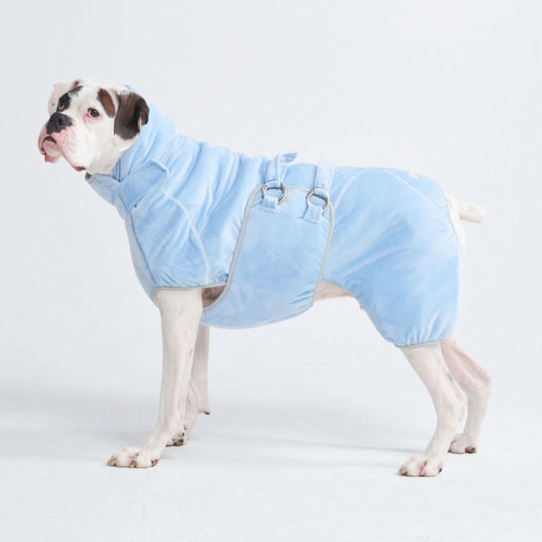 10 Minute Dry Dog Bathrobe