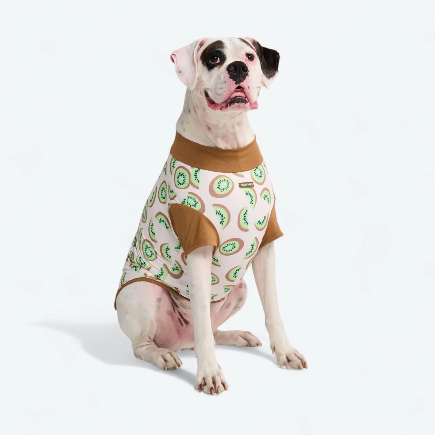Sunblock Dog T-Shirt - Fruit Print