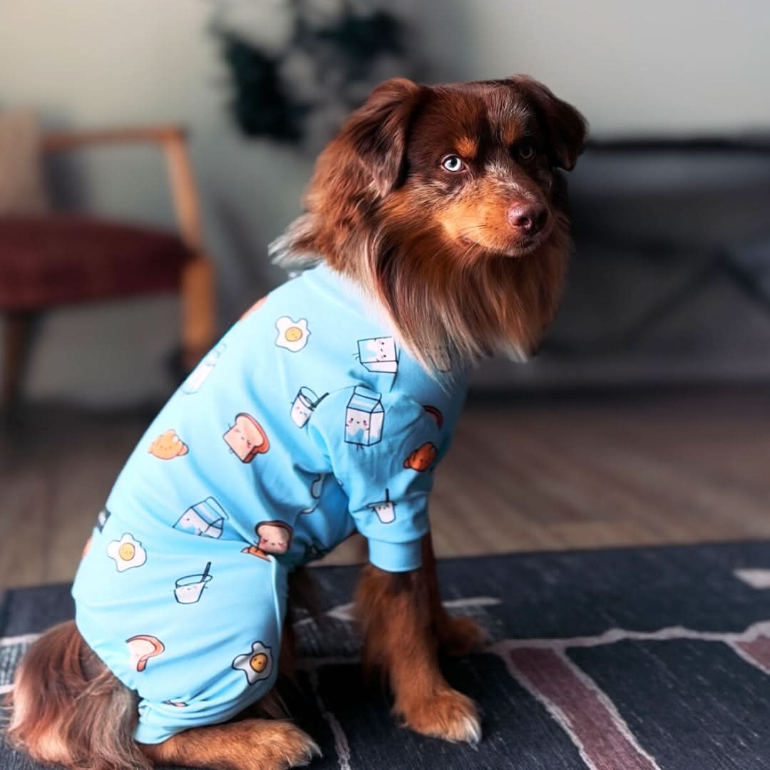 Dog Pajama Prints