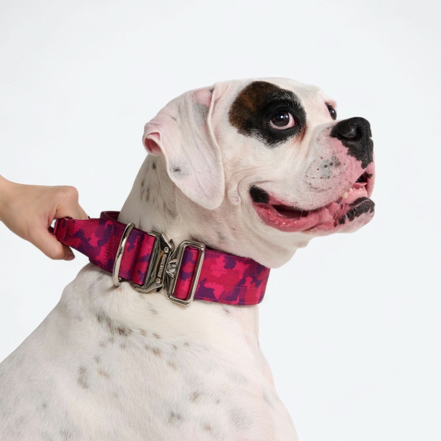 Comfort Control Dog Collars