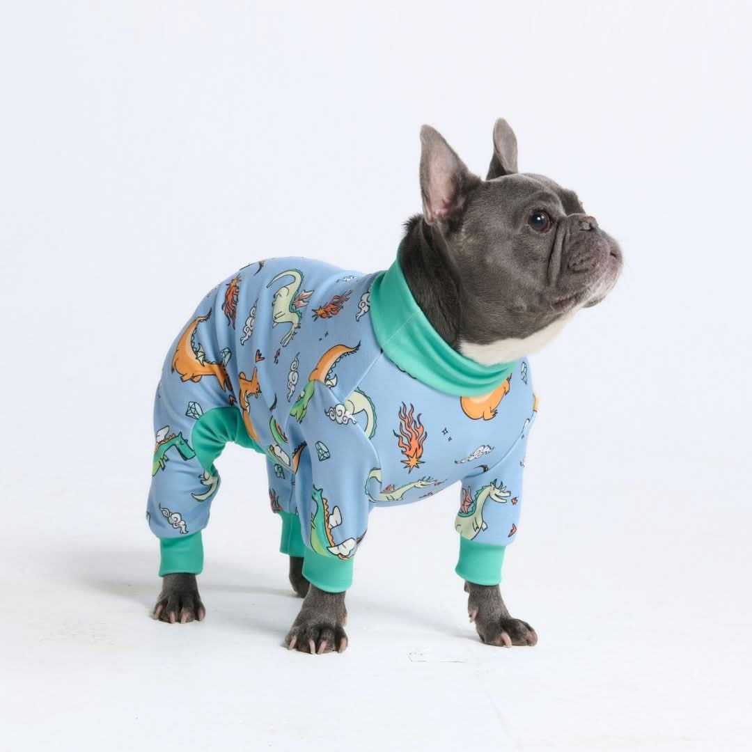 Dog Pajama Prints