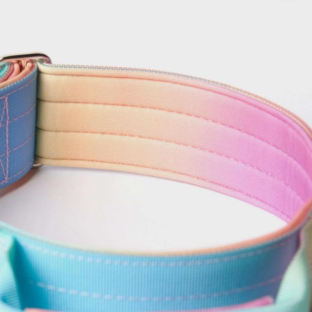 Comfort Control Dog Collars