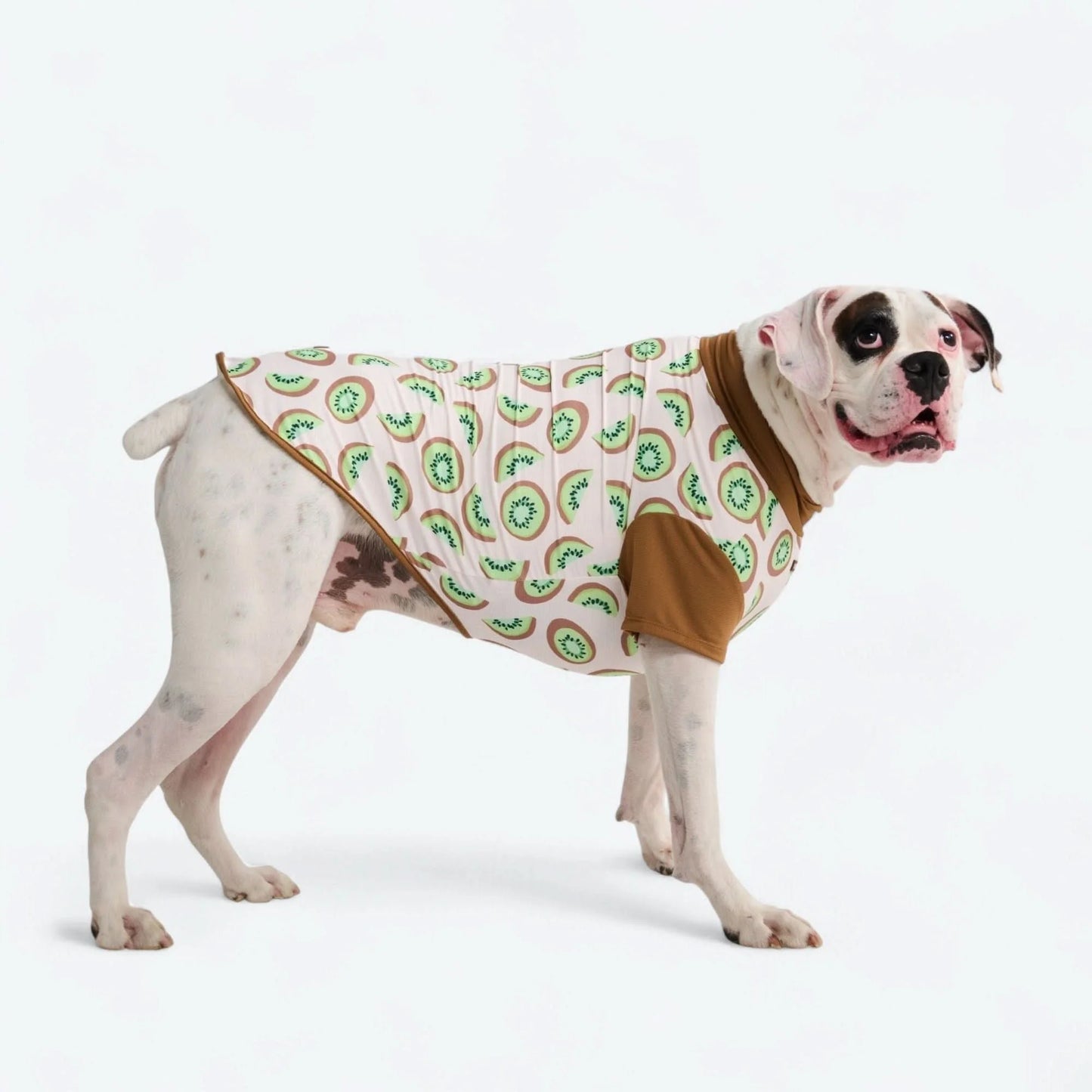 Sunblock Dog T-Shirt - Fruit Print