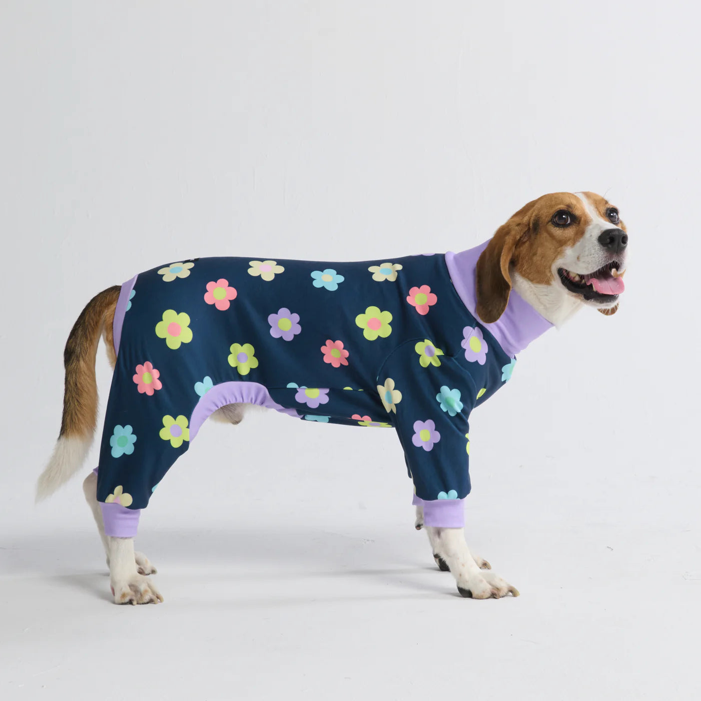 Dog Pajama Prints