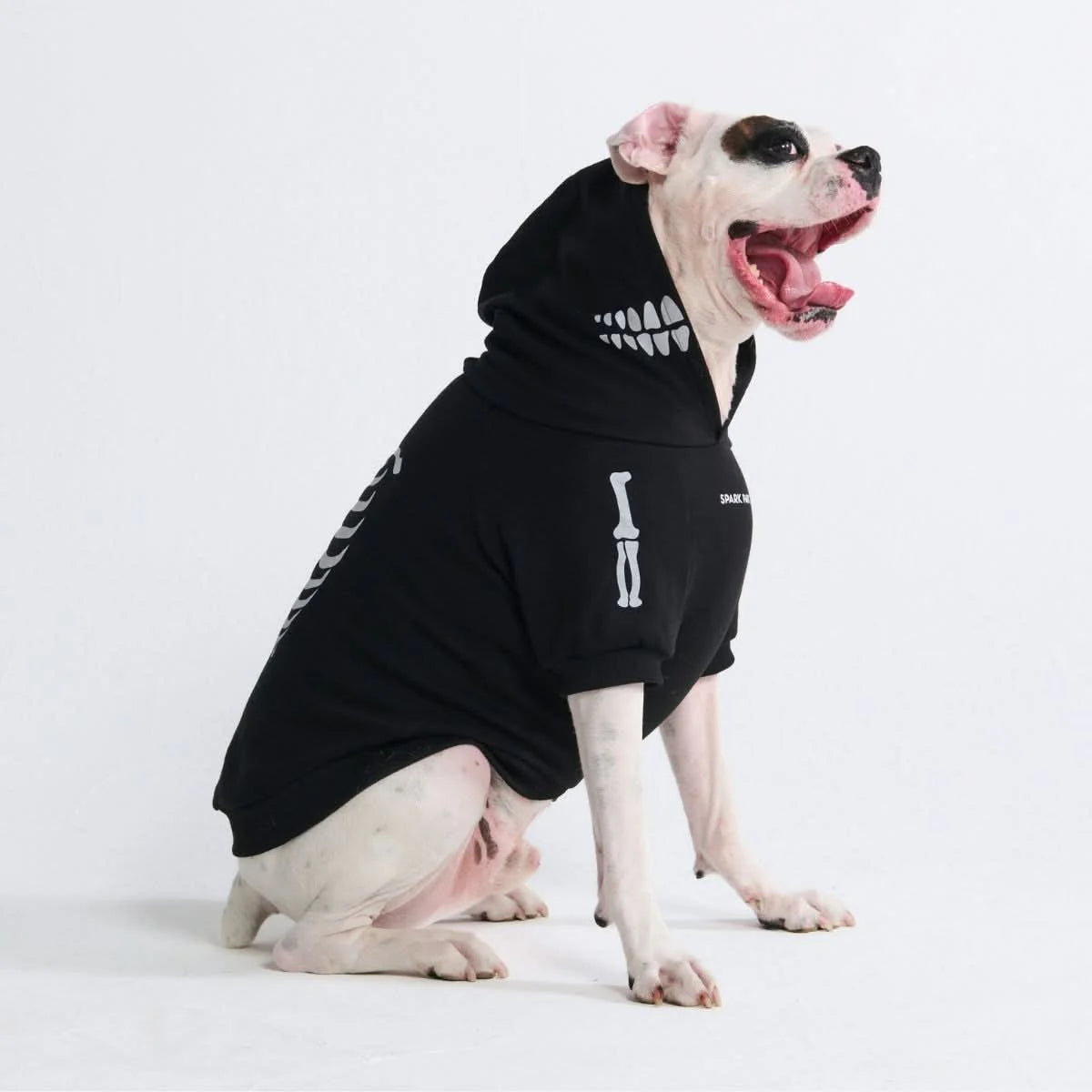 Halloween Dog Hoodies (Limited Edition)