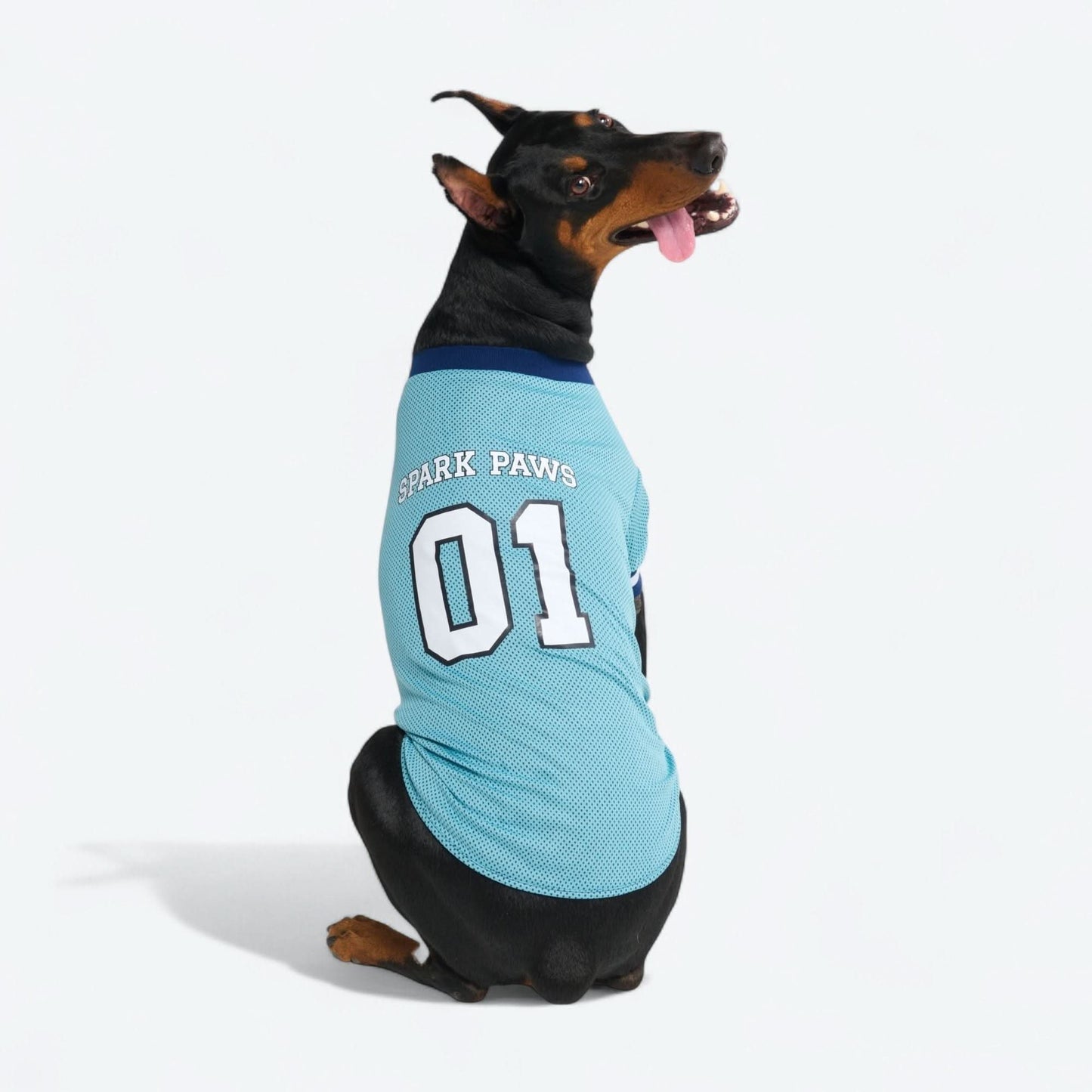 Football Mesh Jersey