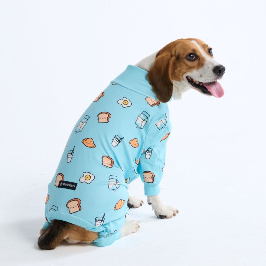Dog Pajama Prints