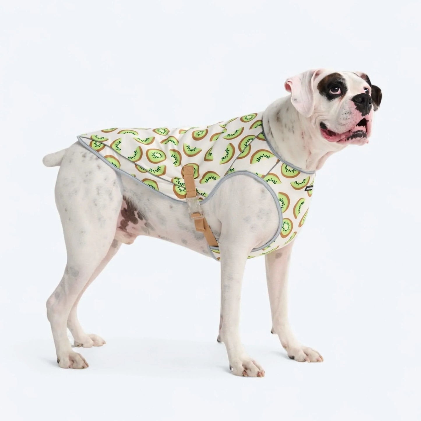 Chilltech™ Dog Cooling Vests