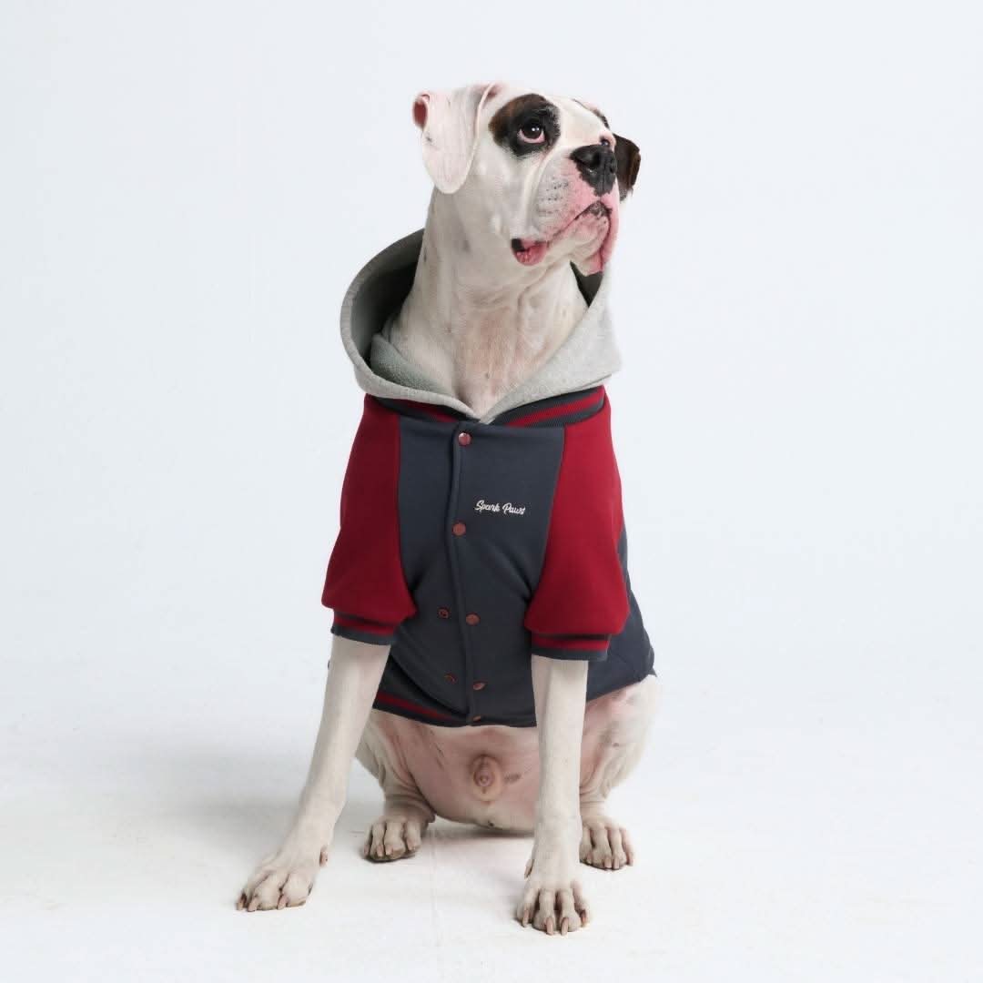 Dog Varsity Jackets