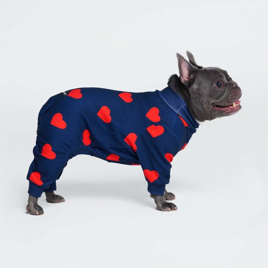 Dog Pajama - Hearts