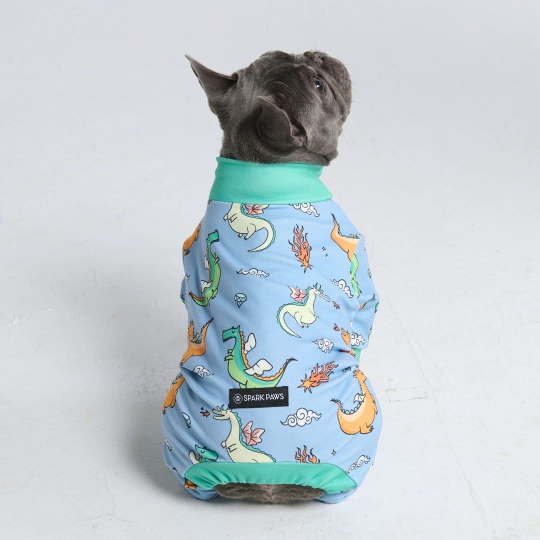 Dog Pajama Prints