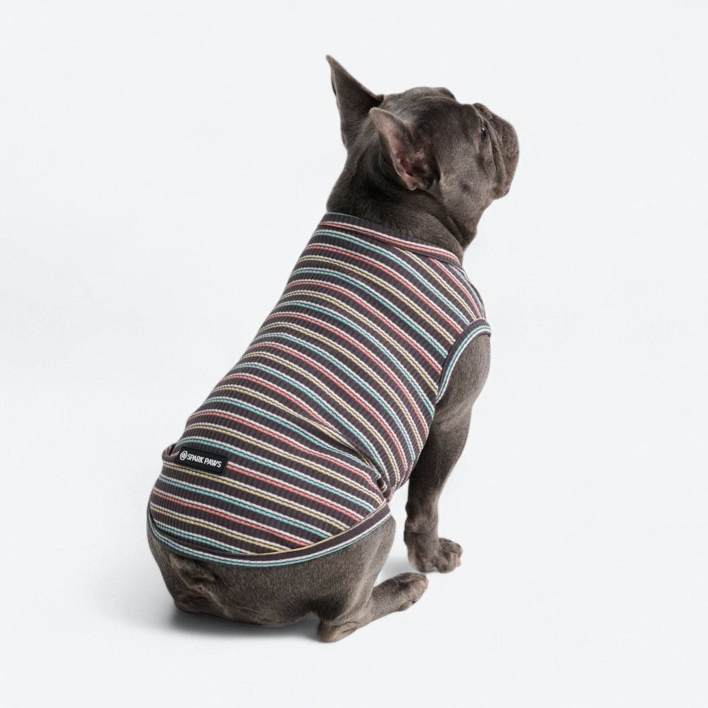 Stripe Shirt
