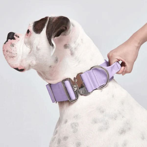 Comfort Control Dog Collars