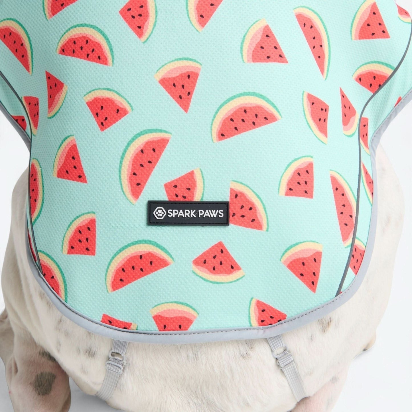 Chilltech™ Dog Cooling Vests