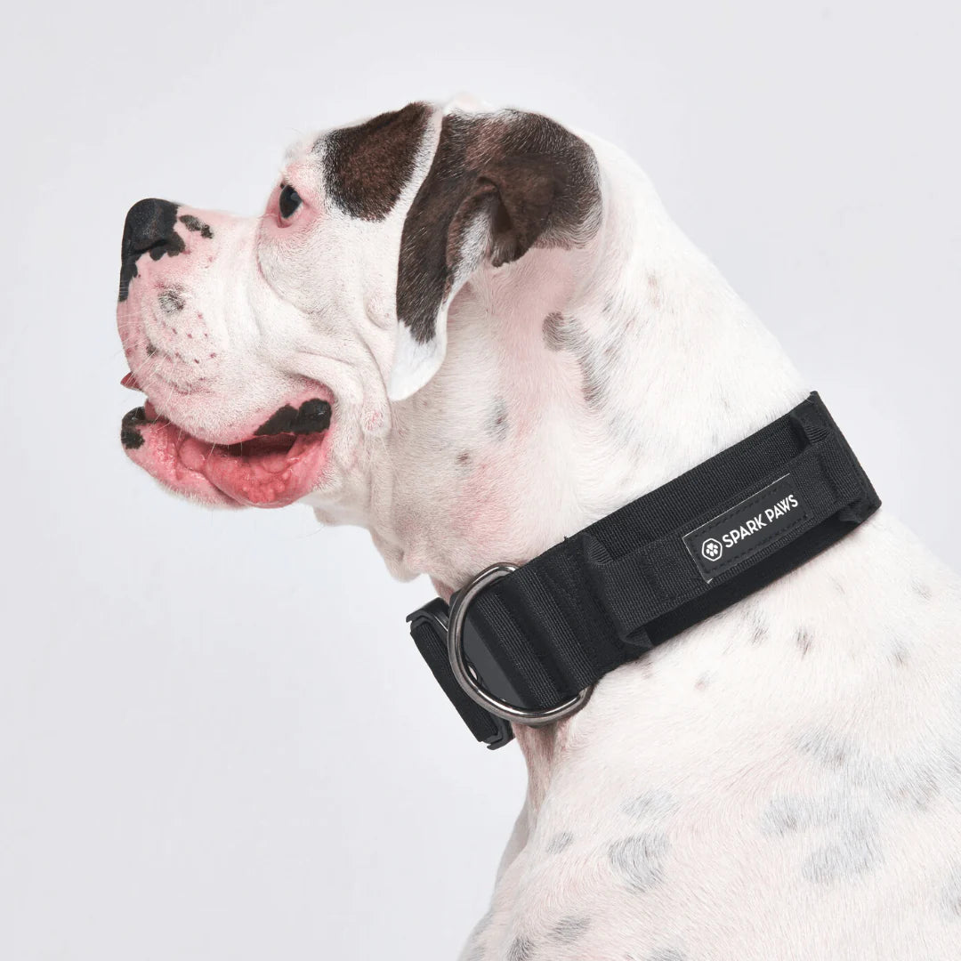 Comfort Control Dog Collars
