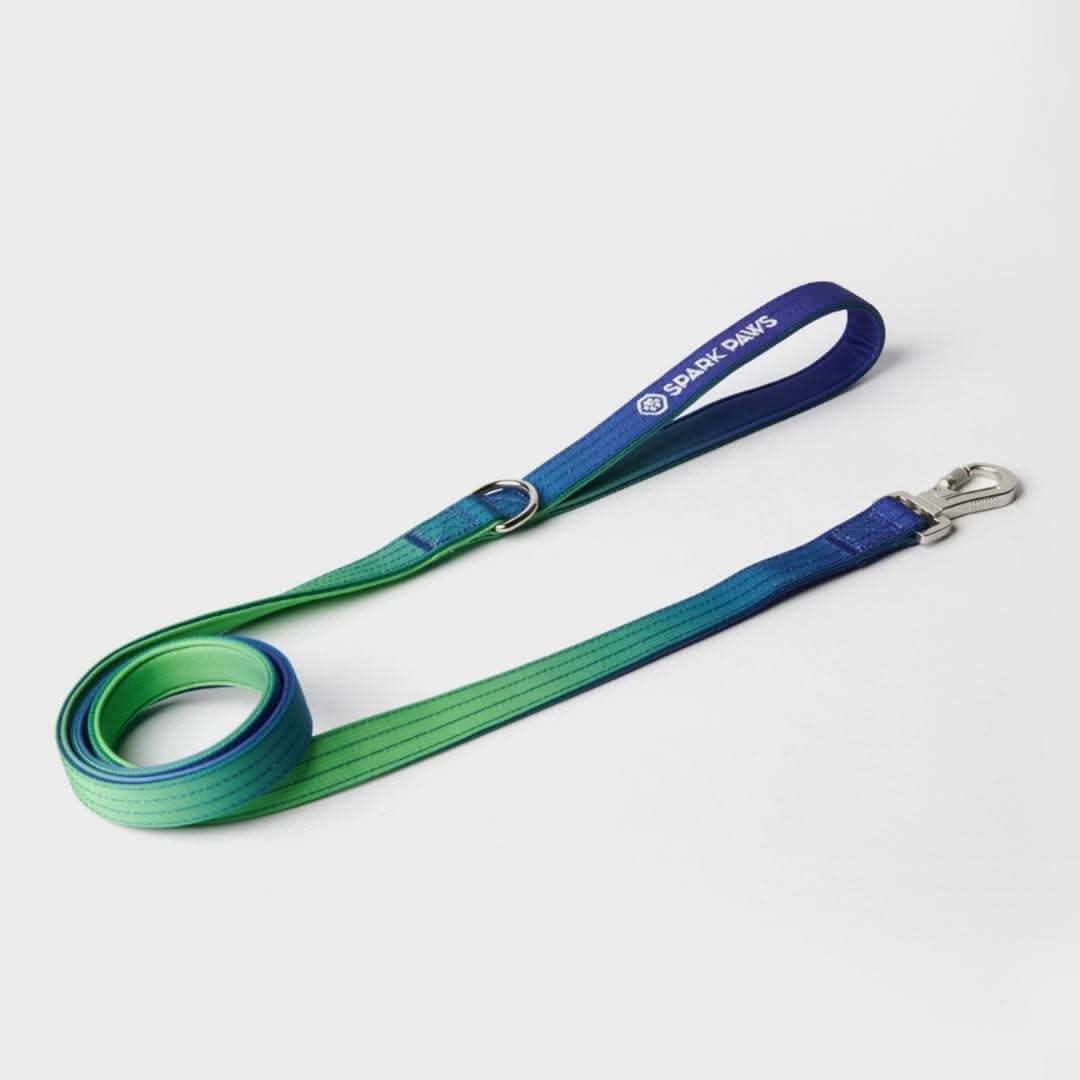 Leash and Poop Bag Holder Set