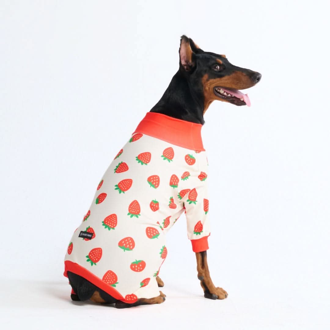Dog Pajama Prints