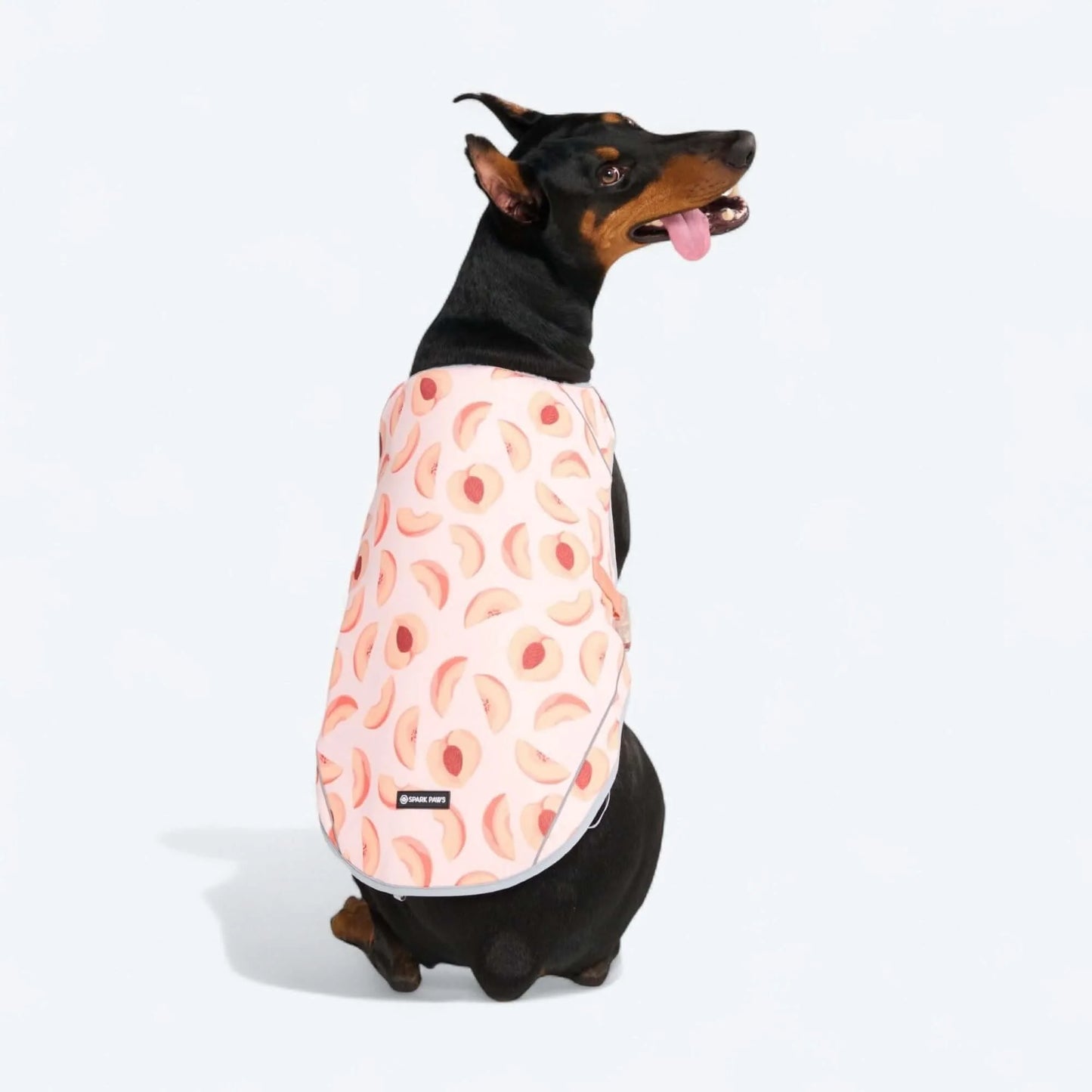 Chilltech™ Dog Cooling Vests