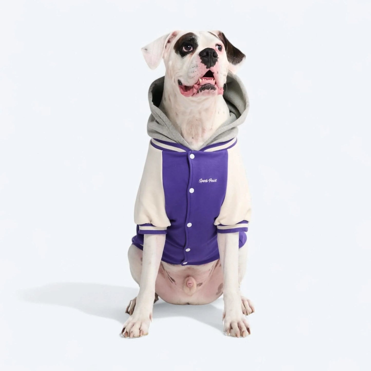Dog Varsity Jackets