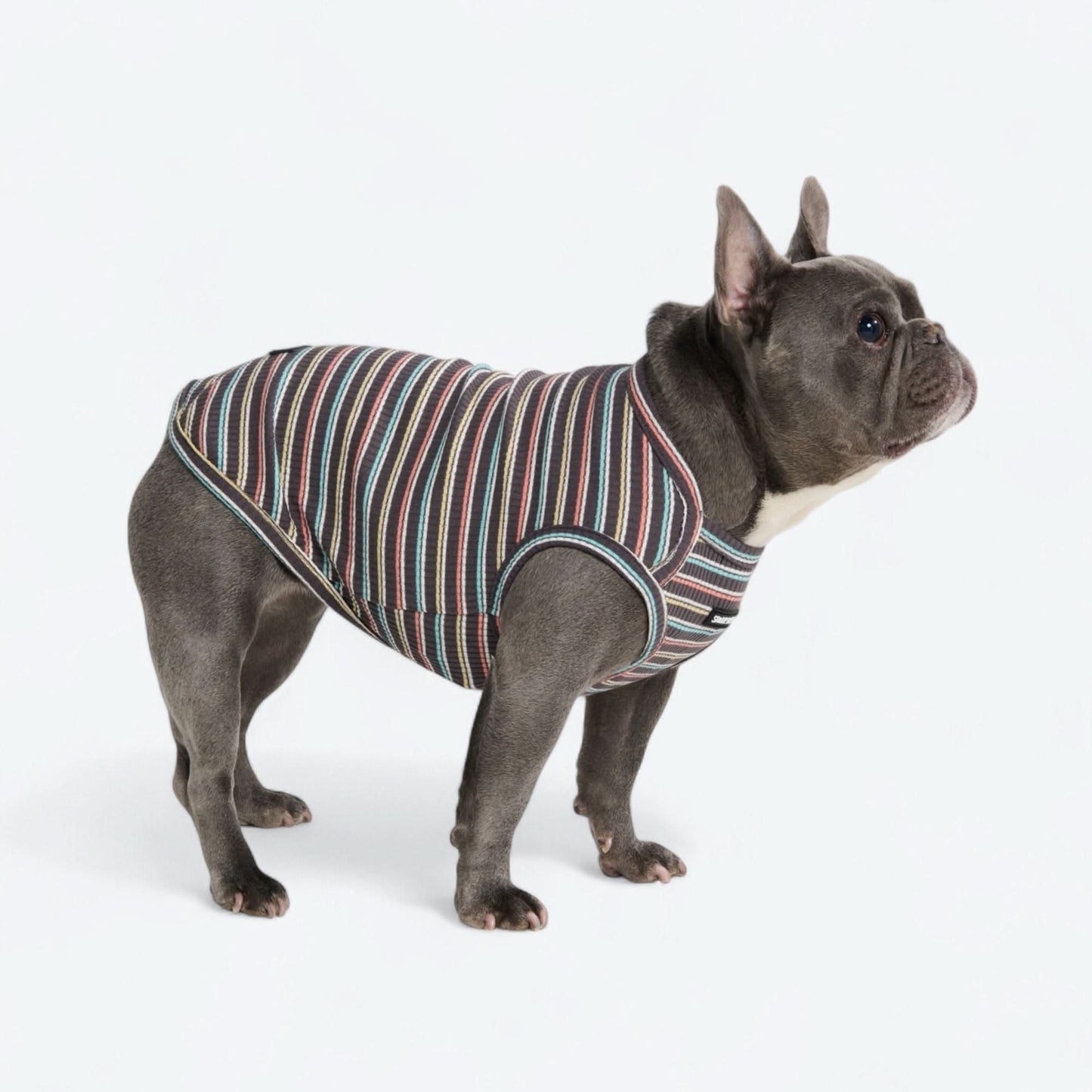 Stripe Shirt