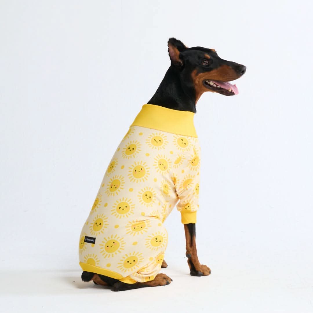 Dog Pajama Prints