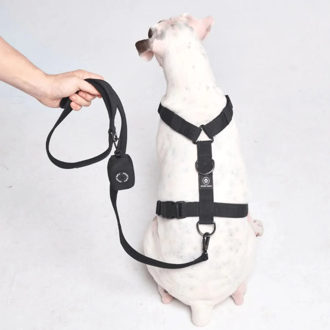 Leash and Poop Bag Holder Set