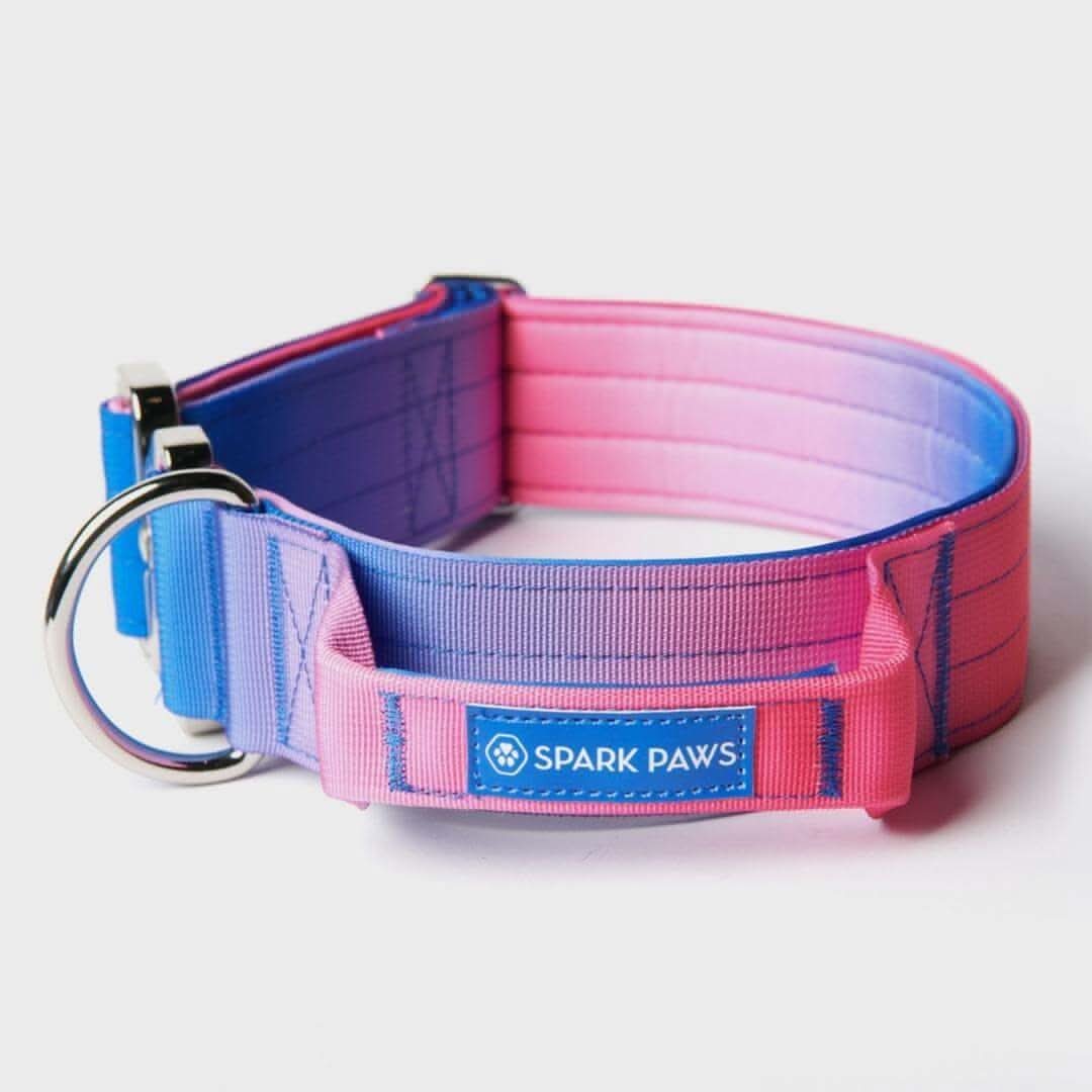 Comfort Control Dog Collars