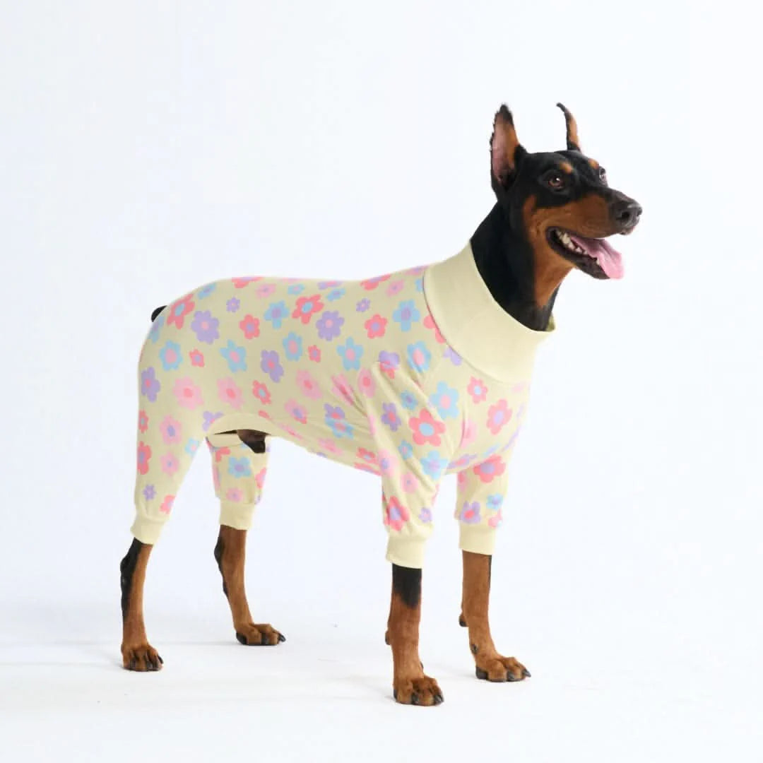 Dog Pajama Prints