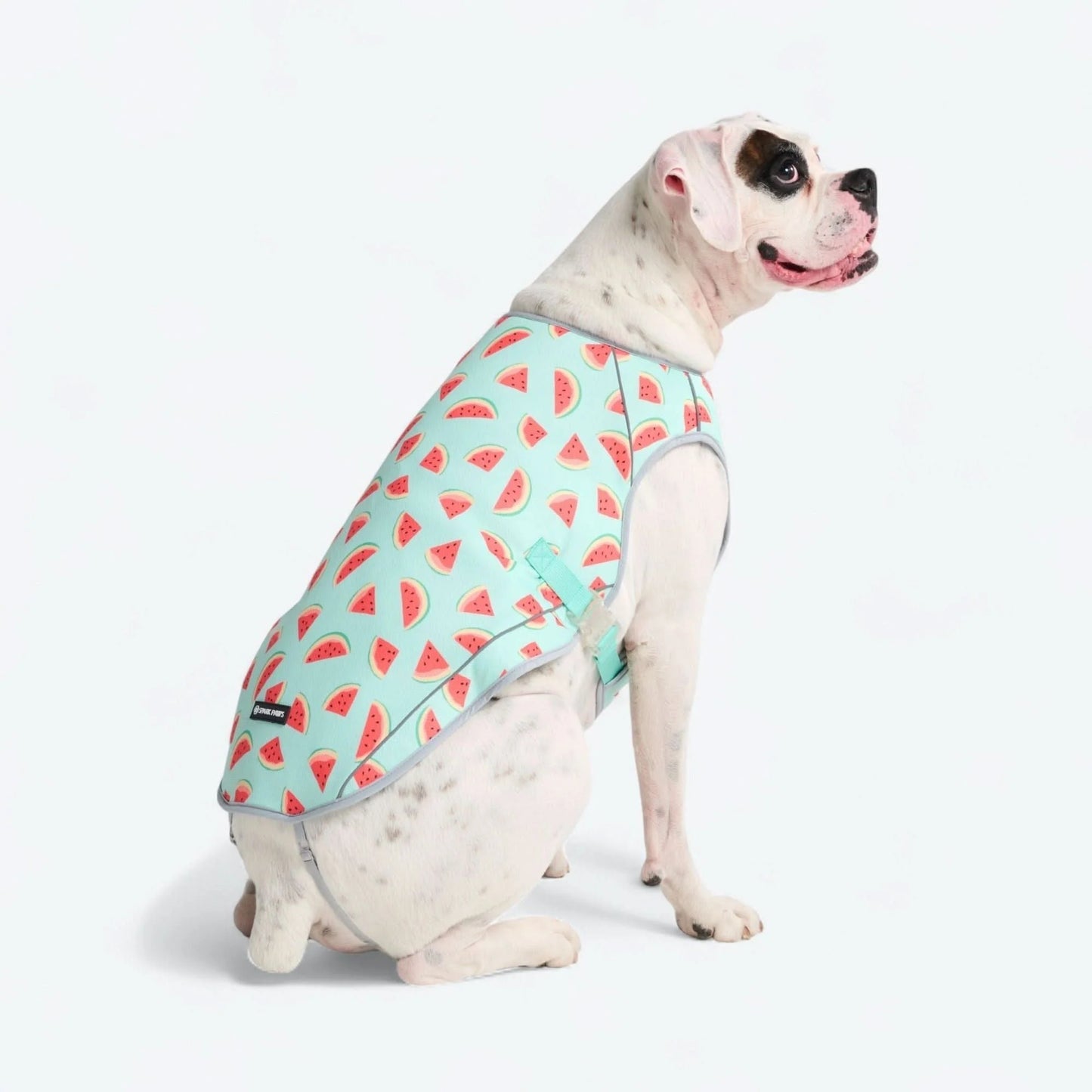 Chilltech™ Dog Cooling Vests