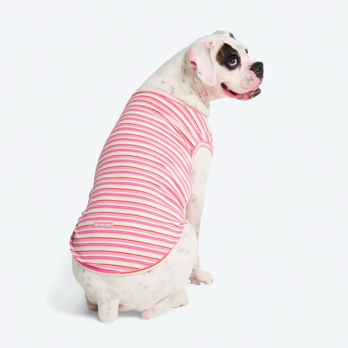 Stripe Shirt