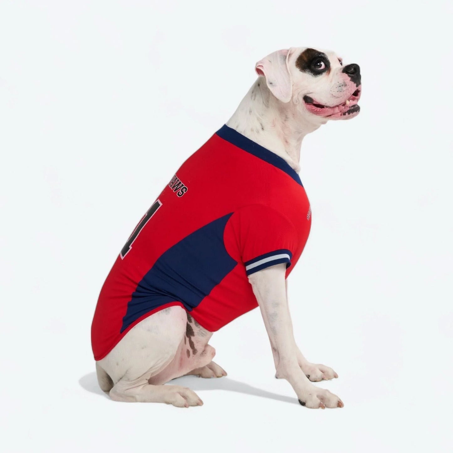Football Mesh Jersey